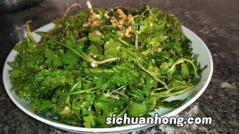 香菜老了怎么做好吃吗