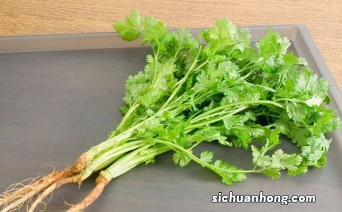 香菜老了怎么做好吃吗