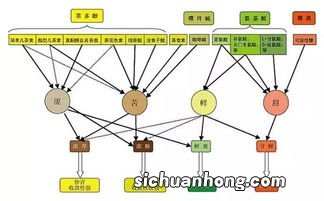 茶叶中氨基酸有什么作用是什么意思