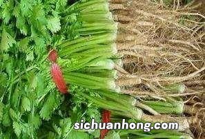 香菜根怎么洗干净方便