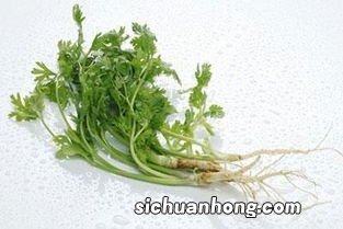 香菜根怎么洗干净方便