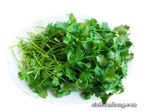香菜根的怎么吃