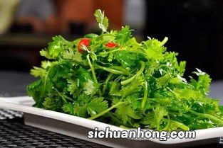 香菜都能怎么吃