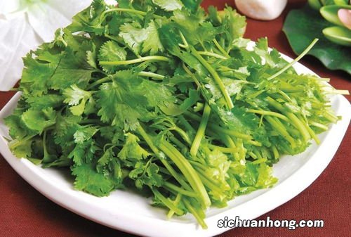 香菜都能怎么吃