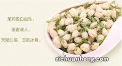 茉莉花茶不可以和什么一起食用