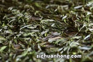 茶叶为什么要委凋