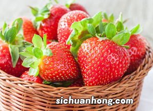 蒸草莓可以保存多久