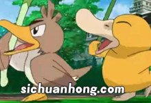 神奇宝贝里可达鸭进化是在第几集 精灵宝可梦可达鸭进化第几集