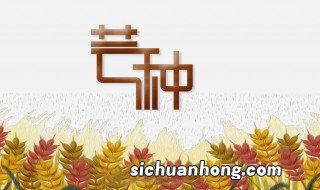 芒种节气的由来 芒种的气候特点