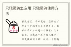 只狼雾鸦怎么用 只狼雾鸦使用方法