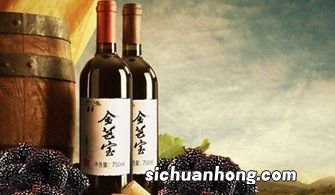 什么时候吃桑葚酒最好