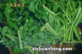 芹香是什么