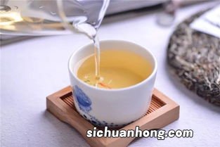 味道苦的茶是什么茶