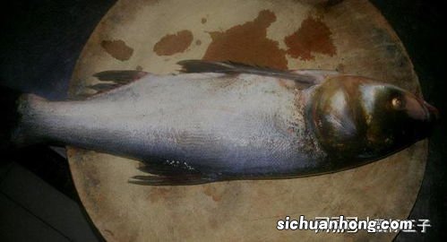 鱼为什么宰杀一段时间才好吃