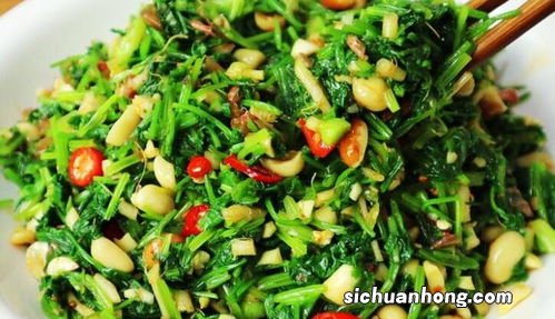 鲜香菜怎么做好吃