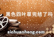 黑色四叶草完结了吗 黑色四叶草最新剧情