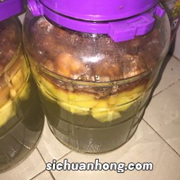 苹果酵素什么样是成功了