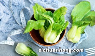 菜怎么种 种菜的步骤