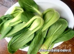 冬天吃什么青菜好