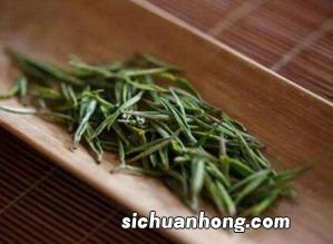 安吉白茶是什么时候采摘的