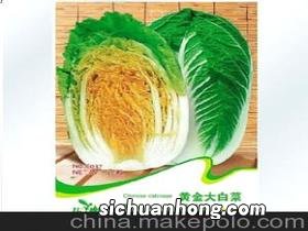 大白菜茶叶是什么厂的