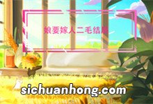 娘要嫁人二毛结局 娘要嫁人的二毛怎么样了