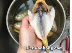 洗鱼怎么去腥味