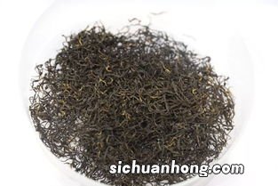 广东种什么茶好