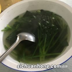 鲜海藻菜汤怎么做好吃