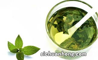 干薄荷跟什么泡水喝