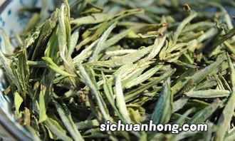 周公山茶叶什么样