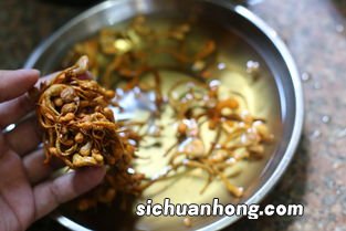 鲜虫草花炒鸡蛋怎么做好吃