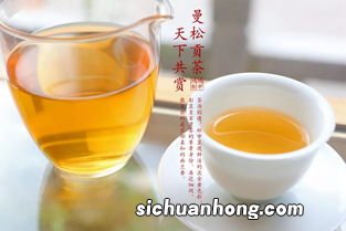 曼松茶什么时候火的