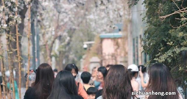 天津“一条街道”爆红,大量游客涌入,市民:满街都是人!