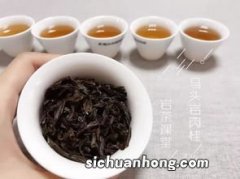 牛坑肉桂是什么茶