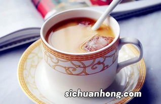 红茶牛奶加什么牛奶