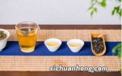 观山茶是属于什么茶