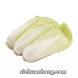 洗过的娃娃菜怎么保存