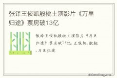 张译王俊凯殷桃主演影片《万里归途》票房破13亿