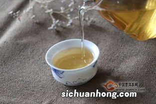 易武正山春茶是什么茶