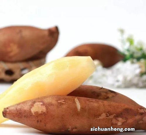 像山芋的那个水果叫什么