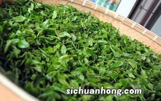 小时候和的茶叶叫什么