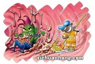 什么东西胆固醇高