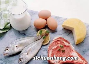 什么是优质蛋白质食物