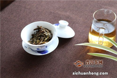 什么是龙珠普洱茶