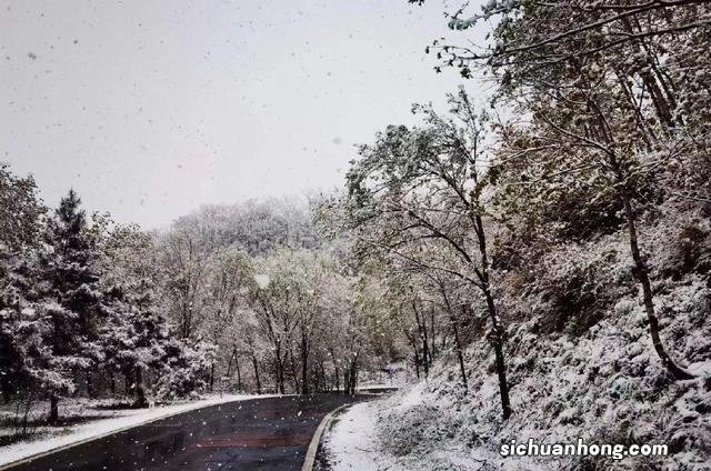四月飘雪!北京门头沟灵山银装素裹,在暮春时节变成银白色的世界