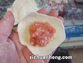 西红柿肉馅饺子怎么做好吃吗