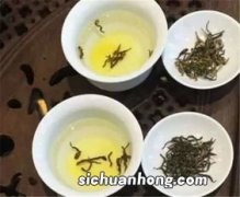 什么茶泡出来没有颜色