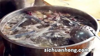 蛇肉熬汤要多久