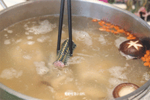 蛇肉熬汤要多久